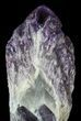 Natural Amethyst Crystal Bouquet - With Metal Stand #62840-4